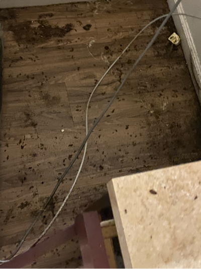 Before — Under Refrigerator Deep Clean