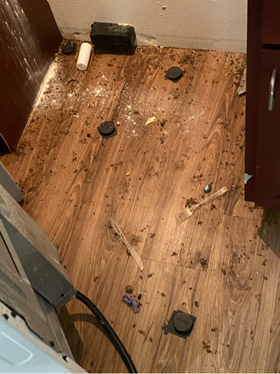 Before — Under Kitchen Stove Cleanup