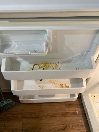 Before — Refrigerator Interior Deep Clean